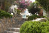 Guler Resort 